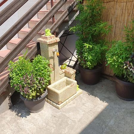 Apartman Djokic 3 Požarevac Exterior foto